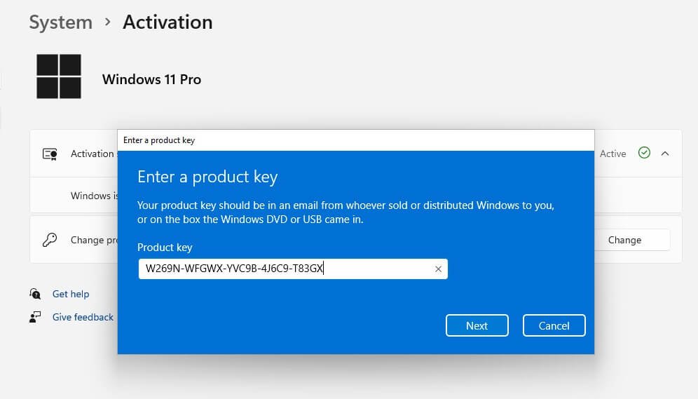 Windows 11 Pro Download