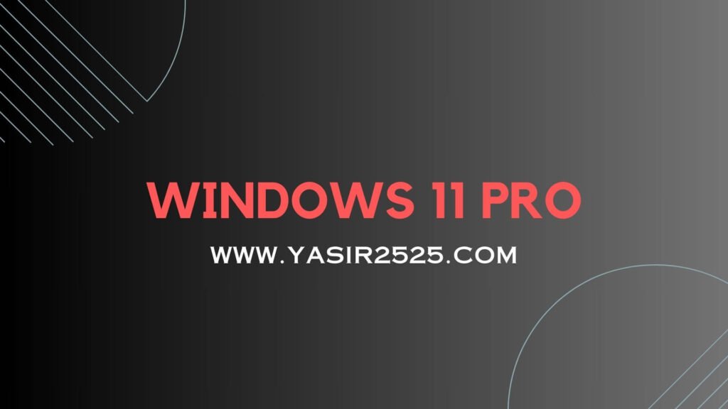 Windows 11 Pro Download